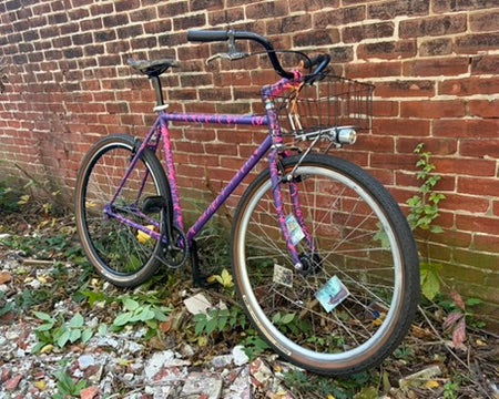 Fascists are losers who lose, The Cross Check is an exceptional bicycle, I don't support the troops, and families are a bummer