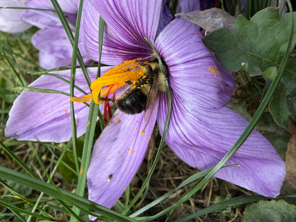 The Internet Is Sad Now